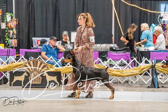20261001-DSC07194