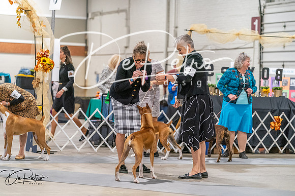 20261022-DSC00121