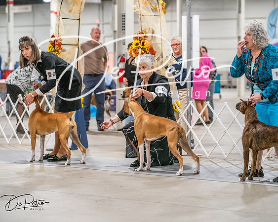 20261022-DSC01663