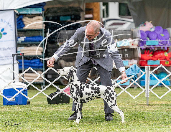 20230427-DSC07502