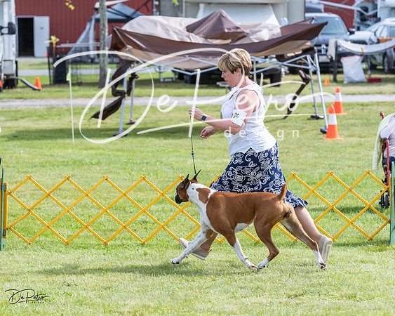 20230513-DSC00560