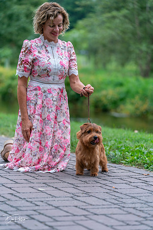20260912-DSC03333