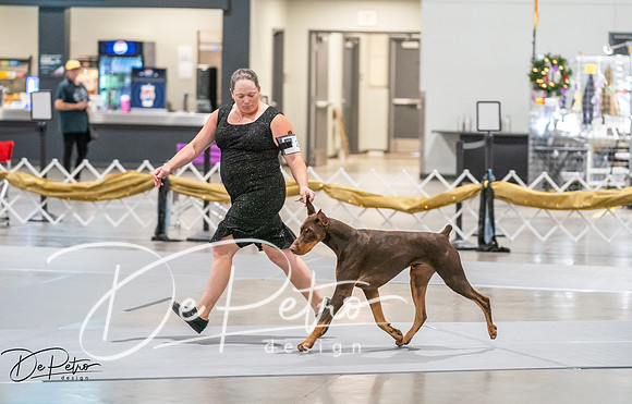 20260926-DSC04090