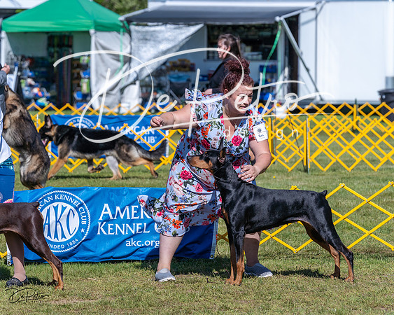 20230514-DSC02900
