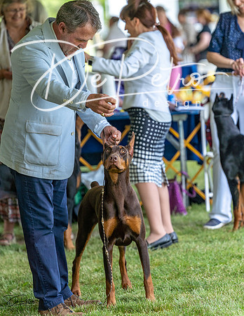 20230513-DSC08347