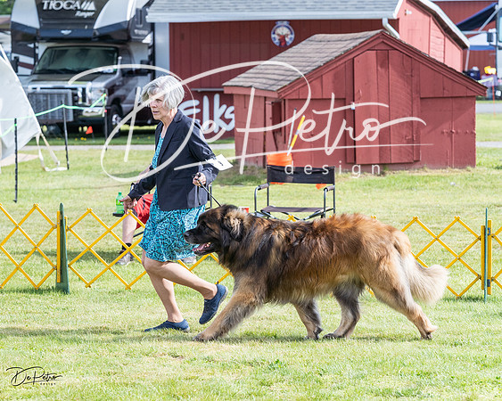20230513-DSC01006