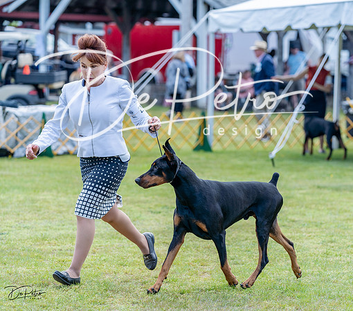 20230513-DSC08834
