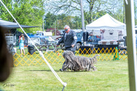 20230512-DSC05365