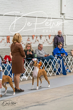 20261023-DSC04985