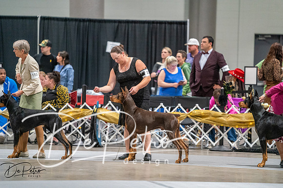 20260926-DSC04674