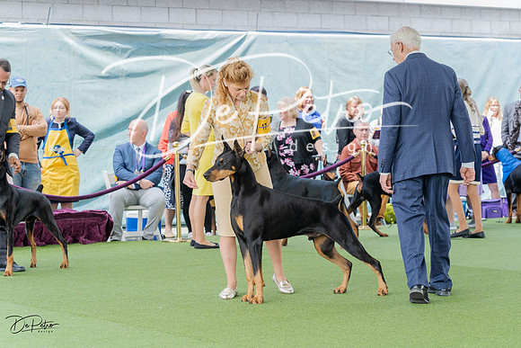 20230509-DSC01076