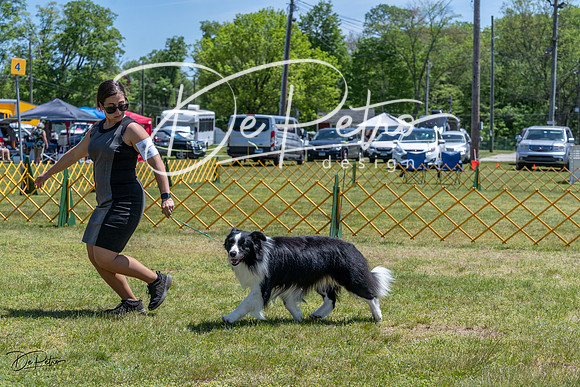 20230514-DSC04919