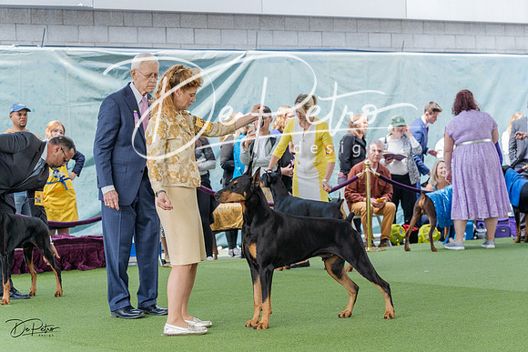 20230509-DSC01067