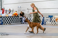 20261023-DSC04838