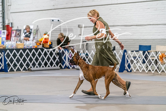 20261023-DSC04838