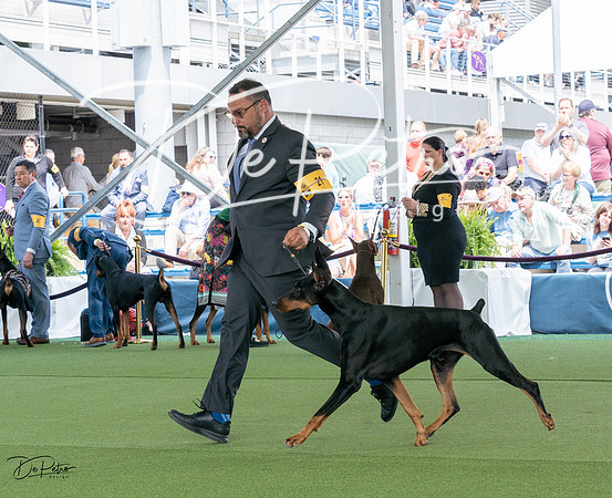 20230509-DSC01094