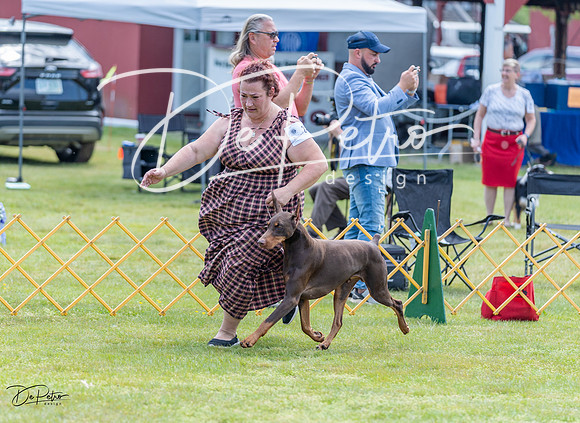 20230513-DSC08721