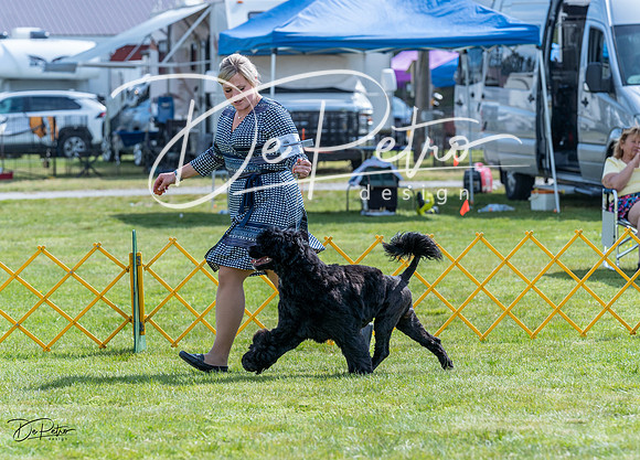20230512-DSC05196