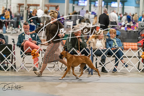 20261023-DSC05022