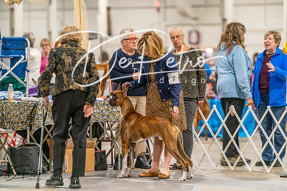 20261022-DSC01052