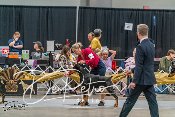 20260927-DSC05416