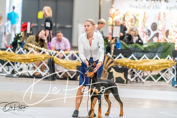 20260930-DSC07052