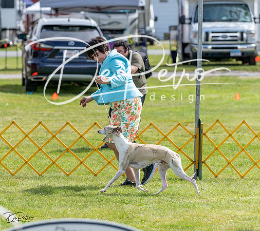 20230513-DSC09872