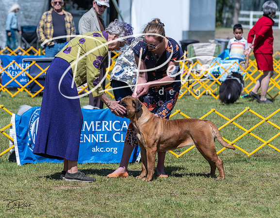 20230514-DSC03737
