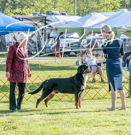 20230513-DSC02349