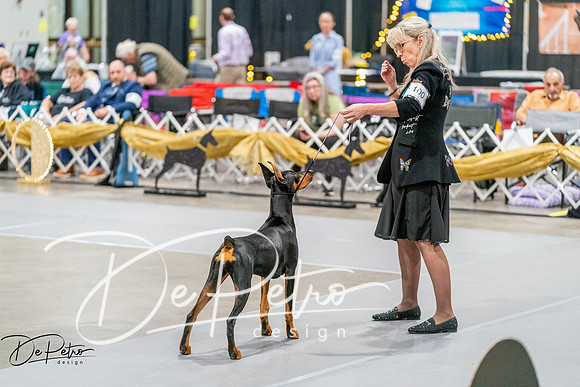 20260930-DSC06881