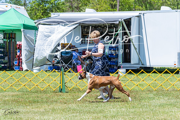 20230514-DSC04536