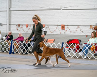 20261022-DSC02724