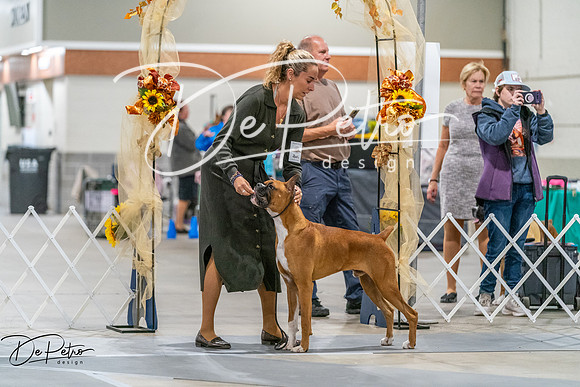 20261022-DSC09804