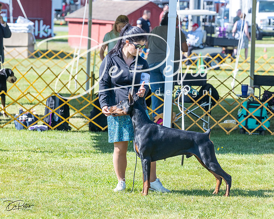 20230514-DSC02935