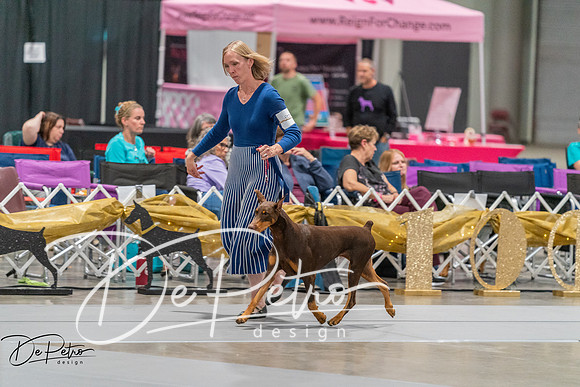 20260926-DSC04908