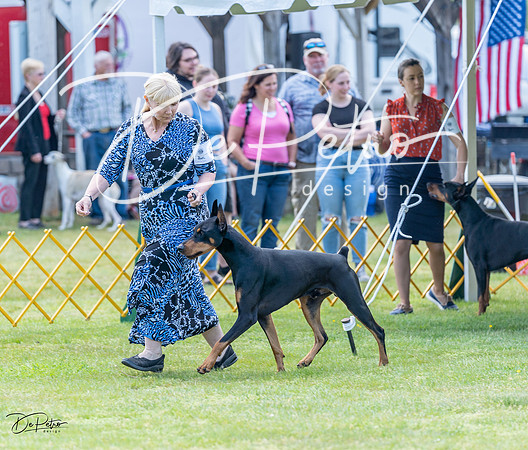 20230513-DSC08963