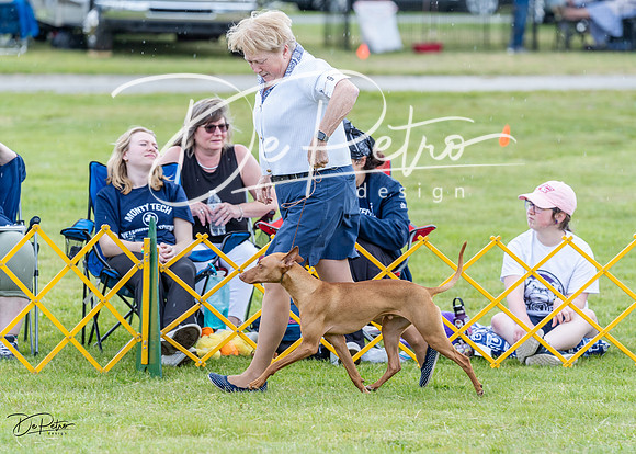 20230512-DSC03686