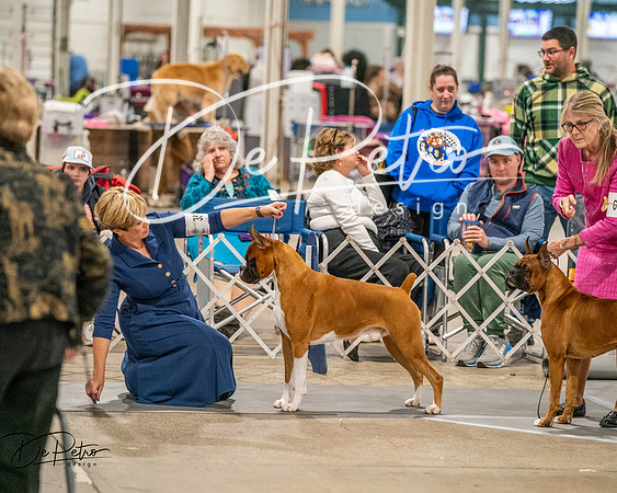 20261022-DSC02102