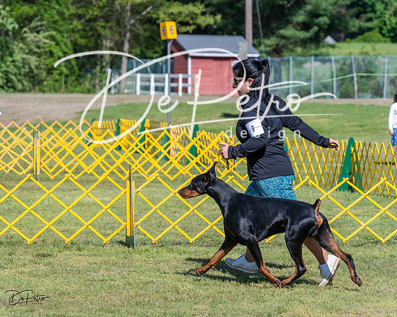 20230514-DSC02966