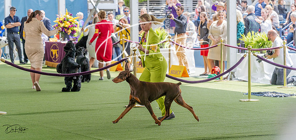 20230509-DSC01409