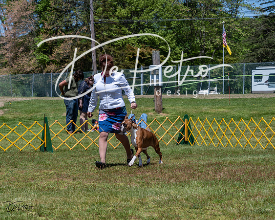 20230514-DSC04043