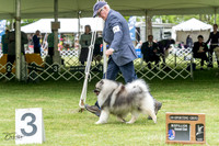 20230427-DSC05356