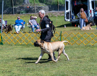 20230514-DSC03644