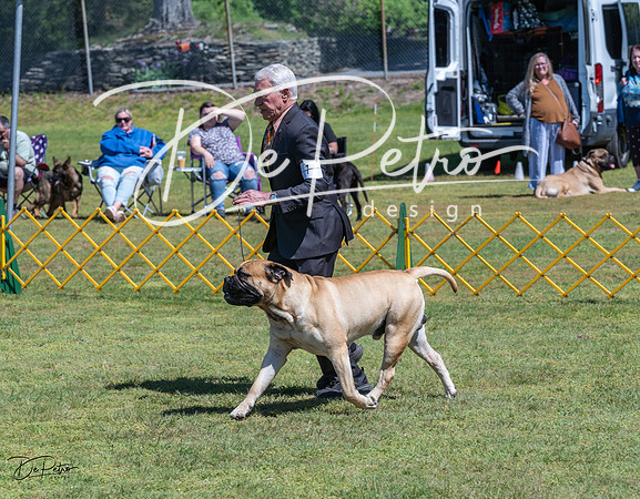 20230514-DSC03644