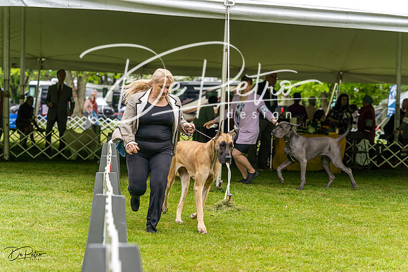 20230427-DSC02861