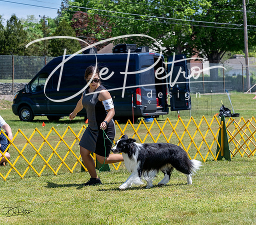 20230514-DSC04825