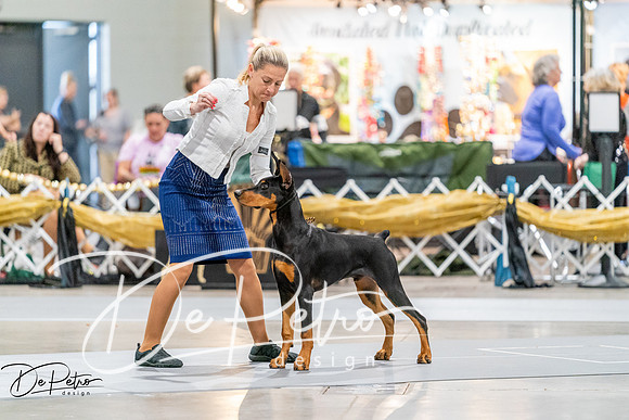 20260930-DSC07014