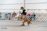 20261022-DSC00055