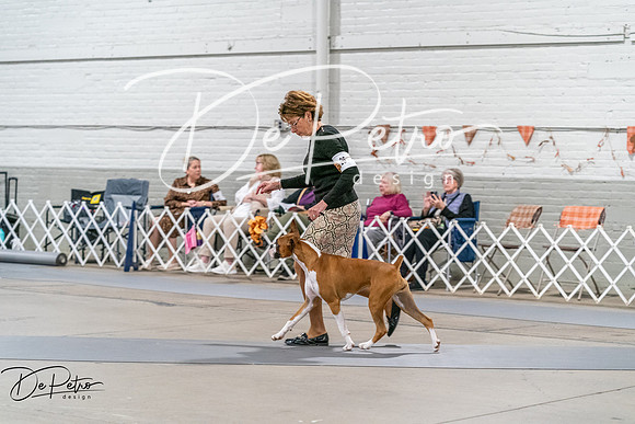 20261022-DSC00055