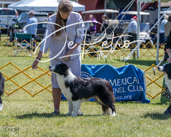 20230514-DSC04774